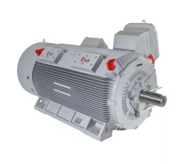 Высоковольтные электродвигатели