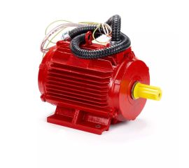 Огнеупорные электродвигатели ESQ FR