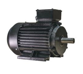 Электродвигатели РЖД ESQ RW