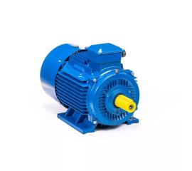 Прочие электродвигатели