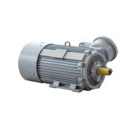 Электродвигатель 2АИМУР 280 L6 У1, 380/660В, класс изоляции F, 1ExdbIIBT4 Gb X, РТС (статор), подшипники SKF, 132/1000 IM1001
