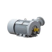 Электродвигатель 2АИМУР 315 L4 У2,5 660/1140В, класс изоляции Н, PBExdI Mb, РТС (статор), стальной фланец, подшипники SKF, 315/1500 IM9701
