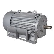 Электродвигатель ВАО7А 450 LB4 УХЛ1 1ExdIIBT4 Gb 6000В IP54 400/1500 IM1001