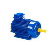 Электродвигатель 5MTKH 132 LA6 5,5/1000 IM1001