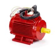 Электродвигатель ESQ 5,5,2-FR-400C-2hR 5,5/3000 IM1081