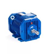 Электродвигатель ESQ RW 100 L4-SDN-S12-H 2,2/1500 IM1081