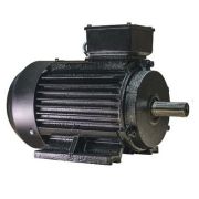 Электродвигатель ESQ RW 132 М4-GST-S12-H 11/1500 IM2081