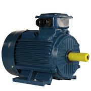 Электродвигатель 5АИ 100 L6 ET 2,2/1000 IM1081