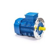 Электродвигатель 5АИ 63 А4 0,25/1500 IM3081