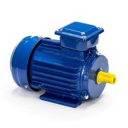 Электродвигатель 5АИ 71 В2 1,1/3000 IM1081