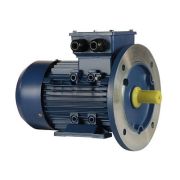 Электродвигатель 5АИ 90 L6 1,5/1000 IM2081