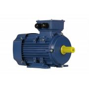 Электродвигатель 5АИ 80 В8 0,55/750 IM1081