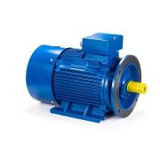 Электродвигатель ESQ 200 LB2-SDN- 37/3000 IMB35