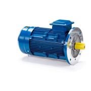 Электродвигатель ESQ 90 LB4-SDN- 2,2/1500 IMB5