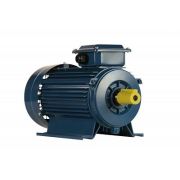 Электродвигатель 5АИ 90 LB8 1,1/750 IM1081