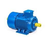 Электродвигатель 5АИ 180 М4 30/1500 IM1002