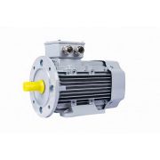 Электродвигатель ESQ PR 80 А2 GST-Б1-S12-IE2 1,5/3000 IM2081
