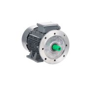 Электродвигатель ESQ TR 112 MA2-SDN-IE2 4/3000 IMB35