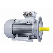 Электродвигатель ESQ PR 112 MA2-SDN-Б1-S12-IE3 4/3000 IMB35