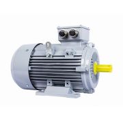 Электродвигатель ESQ PR 132 MA6-SDN-Б1-S12-IE2 4/1000 IMB3