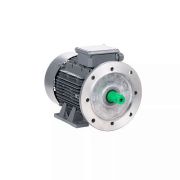 Электродвигатель ESQ TR 132 SA2-SDN-IE2 5,5/3000 IMB35