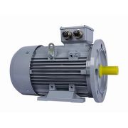 Электродвигатель ESQ PR 132 SB2-SDN-Б1-S12-IE3 7,6/3000 IMB35