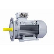 Электродвигатель ESQ PR 180 L4-SDN-Б1-S12-IE2 22/1500 IMB35