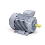 Электродвигатель ESQ PR 180 L6-SDN-Б1-S12-IE3 15/1000 IMB3