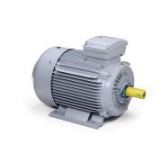 Электродвигатель ESQ PR 250 M4-SDN-Б1-S12-IE2 55/1500 IMB3