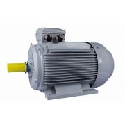 Электродвигатель ESQ PR 315 LA6-SDN-Б1-S12-IE2 110/1000 IMB3