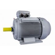 Электродвигатель ESQ PR 315 S4-SDN-Б1-S12-IE3 110/1500 IMB3