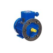 Электродвигатель АИМУ 180 S4 У1, 380/660В, 1ExdbIIBT4 Gb X, (LP) 22/1500 IM2081