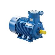 Электродвигатель АИМУ 200 L4 У1, 380/660В, 1ExdbIIBT4 Gb X, РТС (статор), 45/1500 IM1001