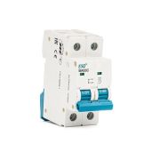 Автоматический выключатель ВА63C-10 D 2P 0020 2 полюсa, 20А ток к.з. 10кА хар-ка D ESQ