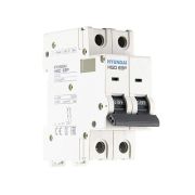 Автоматический выключатель HGD63P 2PMBS0000C B 2P 2А 10kA (STANDARD)