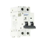Автоматический выключатель HGD63H 2PMBS0000C B 2P 6А 10kA (DELUXE)