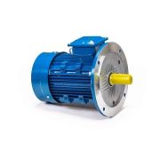 Эл.двигатель 5АИ 100 L2 5.5/3000 IM 3081