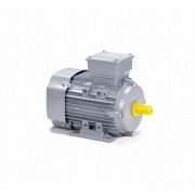 Эл.двигатель ESQ PR 90 LA2-SDN-Б1-S12-IE2 2.2/3000 IM B3