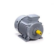 Эл.двигатель ESQ PR 180 M6 GST-Б1-S12-IE2 18.5/1000 IM 1001