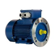 Эл.двигатель 5АИ 50 МВ4 0.09/1500 IM 2081
