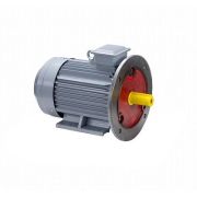 Эл.двигатель ESQ PR 100 L6 GST-Б1-S12-IE2 2.2/1000 IM 2081