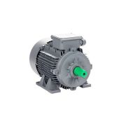 Эл.двигатель ESQ TR 225 M4-SDN-Б1-IE2 45/1500 IM B3
