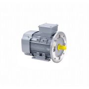 Эл.двигатель ESQ PR 80 А4-SDN-Б1-S12-IE3 0.55/1500 IM B35