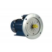 Эл.двигатель 5АИ 90 L2 Ж У2 3/3000 IM 2081