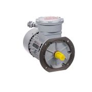 Эл.двигатель АИМУР 250 LB4 У2,5 660/1140В, кл изоляции Н, РВЕхdbI Mb X, РТС (статор), два силовых каб. ввода, подшипники SKF, 110/1500 IM 4001