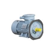 Эл.двигатель АИМУР 250 S4 У2,5 380/660В, кл изоляции F, РВЕхdbI Mb X, МК1-145 (статор), подшипники SKF, 76/1500 IM 9701