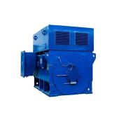 Эл.двигатель А4 355 L4 У3 6000В IP23 250/1500 IM 1001