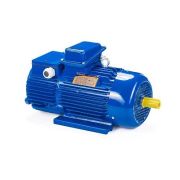 Эл.двигатель 5МТН 280 L6 110/1000 IM 1004