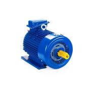Эл.двигатель 5МТКН 312-8 11/750 IM 1001