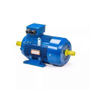 Эл.двигатель 5АИ 100 L4 ED12ED12М 4/1500 IM 2082